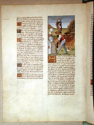 Ms Fr. Fv VI #1 fol.98v Extraction de l